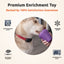 FreezCone – The Ice-Cream–Shaped Enrichment Dogs Can’t Put Down