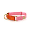 Martingale Dog Collar