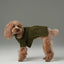 GLACIER PET SWEATER - OLIVE GREEN