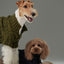 GLACIER PET SWEATER - OLIVE GREEN