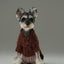 GLACIER PET SWEATER - BURGUNDY