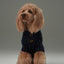 GLACIER PET SWEATER - NAVY