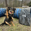 Better Sporting Dogs Heavy Duty Dog Agility Tunnel – 10 ft PVC Training Tunnel with Sandbags
