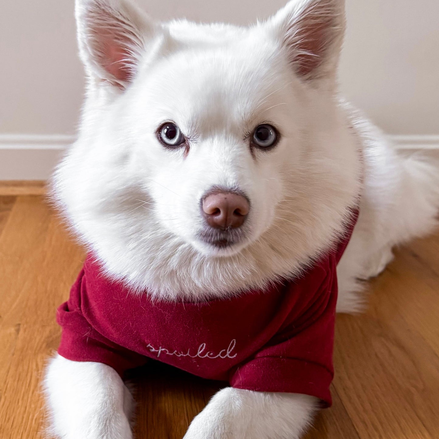 Fur Elise Spoiled Mock Neck Shirt - Lucky