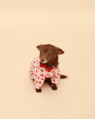 Red Hearts Cotton Raglan