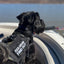 FIND OUT Bar Morale Patch