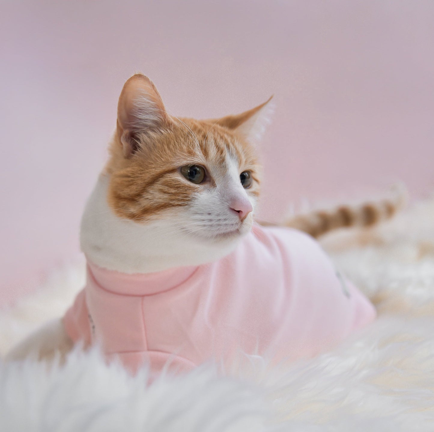 Fur Elise Spoiled Mock Neck Shirt - Blush