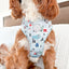 Snowy Slopes Adjustable Harness