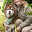 Mossy Pine Waterproof Dog Collar