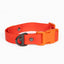 Scarlet Peaks Waterproof Dog Collar