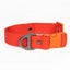 Scarlet Peaks Waterproof Dog Collar