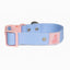 Blue Sky Orchid Waterproof Dog Collar