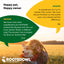 Joint & Muscle Health (Cats & Small Dogs)