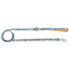 Snowy Slopes Leash