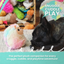 Kit the Caticorn