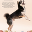 PARADISE PET TOY- Fritillaria