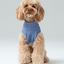 Pet Sweater Vest - Ice Blue
