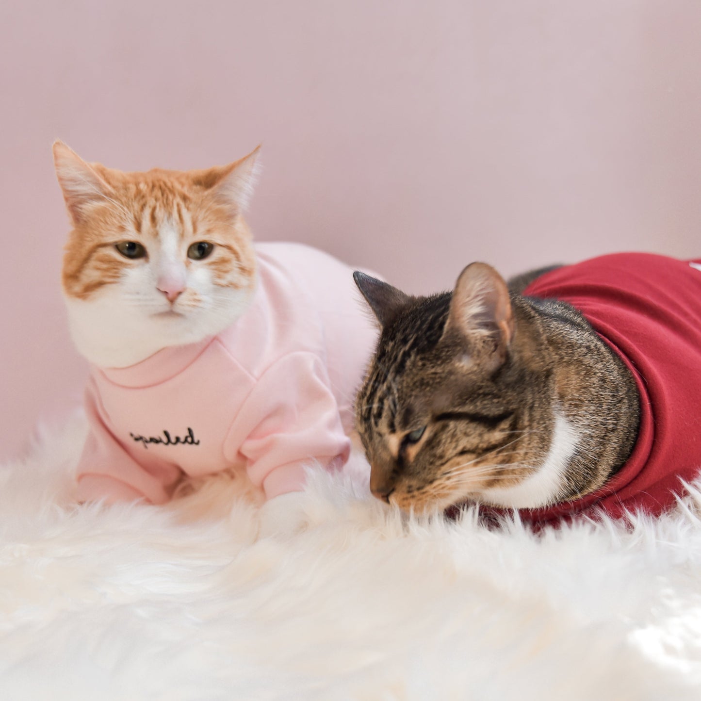 Fur Elise Spoiled Mock Neck Shirt - Blush