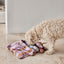 Ashi Dog Toy Small - Ice Blue/Choko