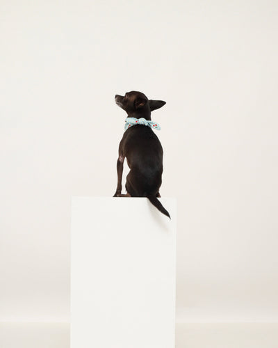 Gingham Cherry Neckerchief
