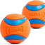ChuckIt Dog Ultra Ball Small 2 Pack