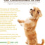 Ultimate Hip & Joint Soft Chew