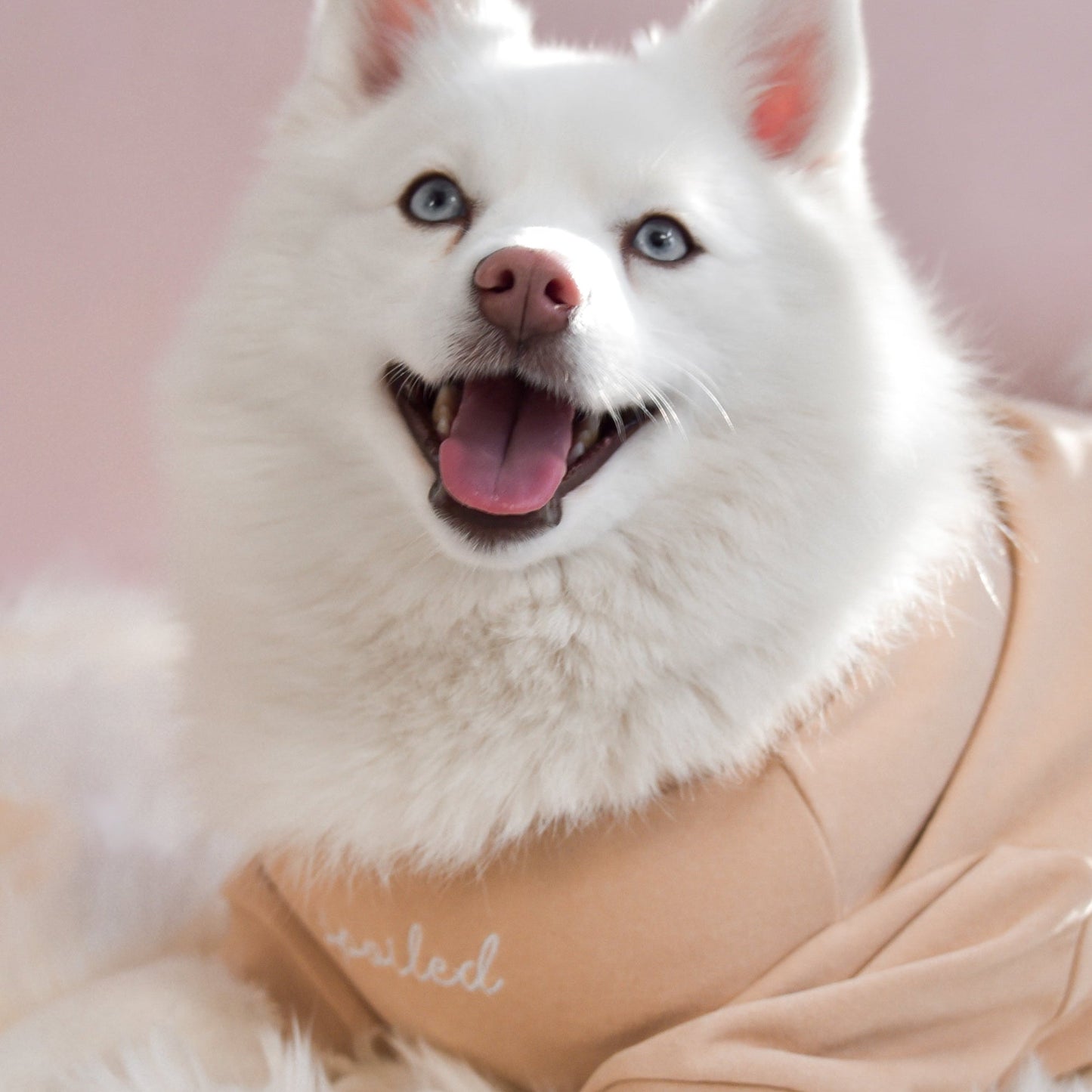 Fur Elise Spoiled Mock Neck Shirt - Latte