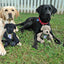 HuggleCause™, Warrior Canine Connection, Black Lab Luke Knottie® Plush Dog Toy, Large