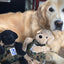 HuggleCause™, Warrior Canine Connection, Black Lab Luke Knottie® Plush Dog Toy, Large