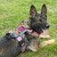 K9R - M1 LightSpeed Harness Large