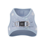 SoHo Dog Harness - Rockstar Hudson