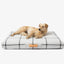 White Plaid | Dog Bed or Bed Cover