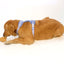 Croissant Nose Work Toy / Enrichment Toy