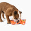 Aloha Nose Work Dog Toy