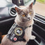 MEOW Morale Patch