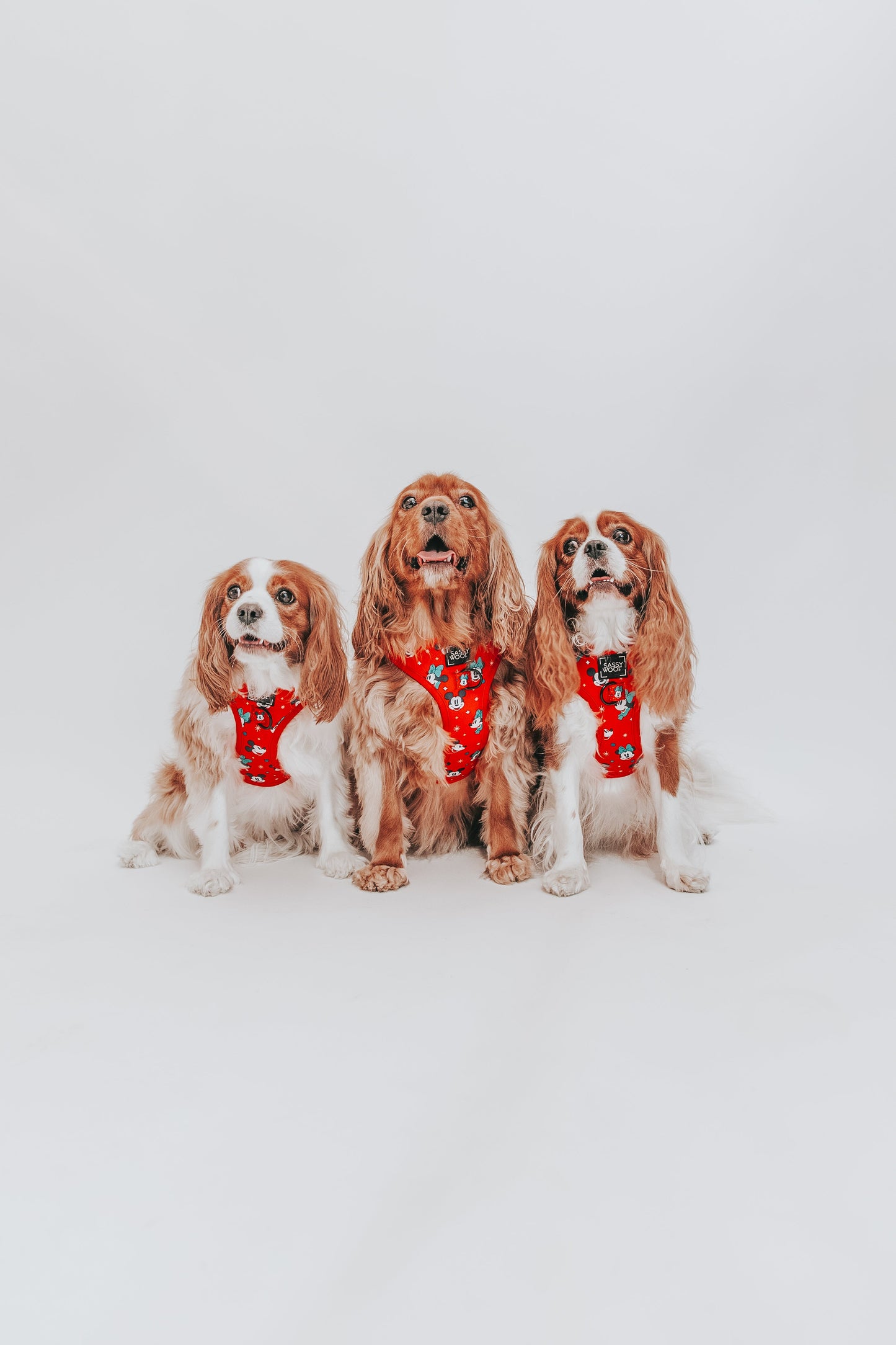 Dog Adjustable Harness - Disney Holiday Collection