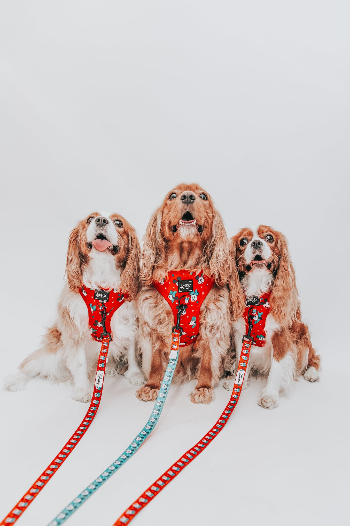 Dog Adjustable Harness - Disney Holiday Collection