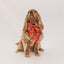 Dog Adjustable Harness - Disney Holiday Collection