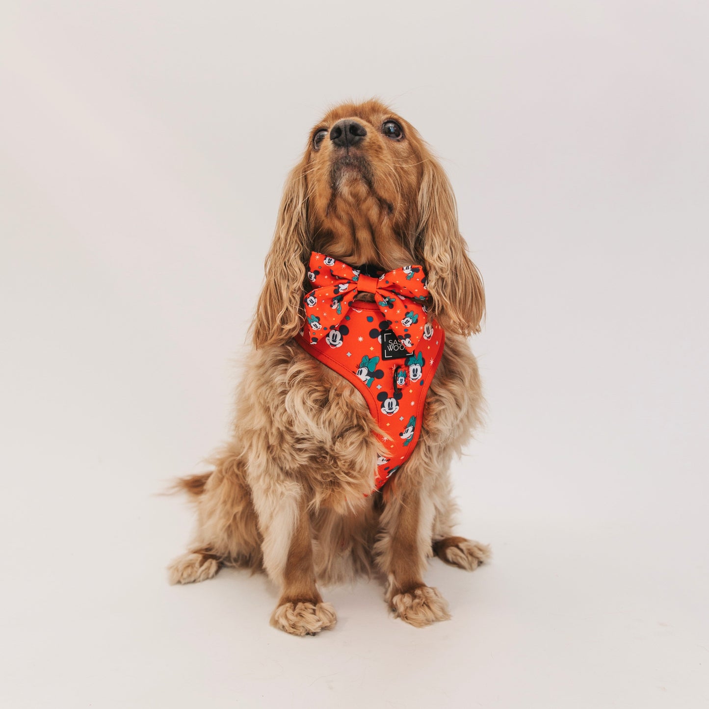 Dog Adjustable Harness - Disney Holiday Collection