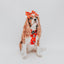 Dog Adjustable Harness - Disney Holiday Collection