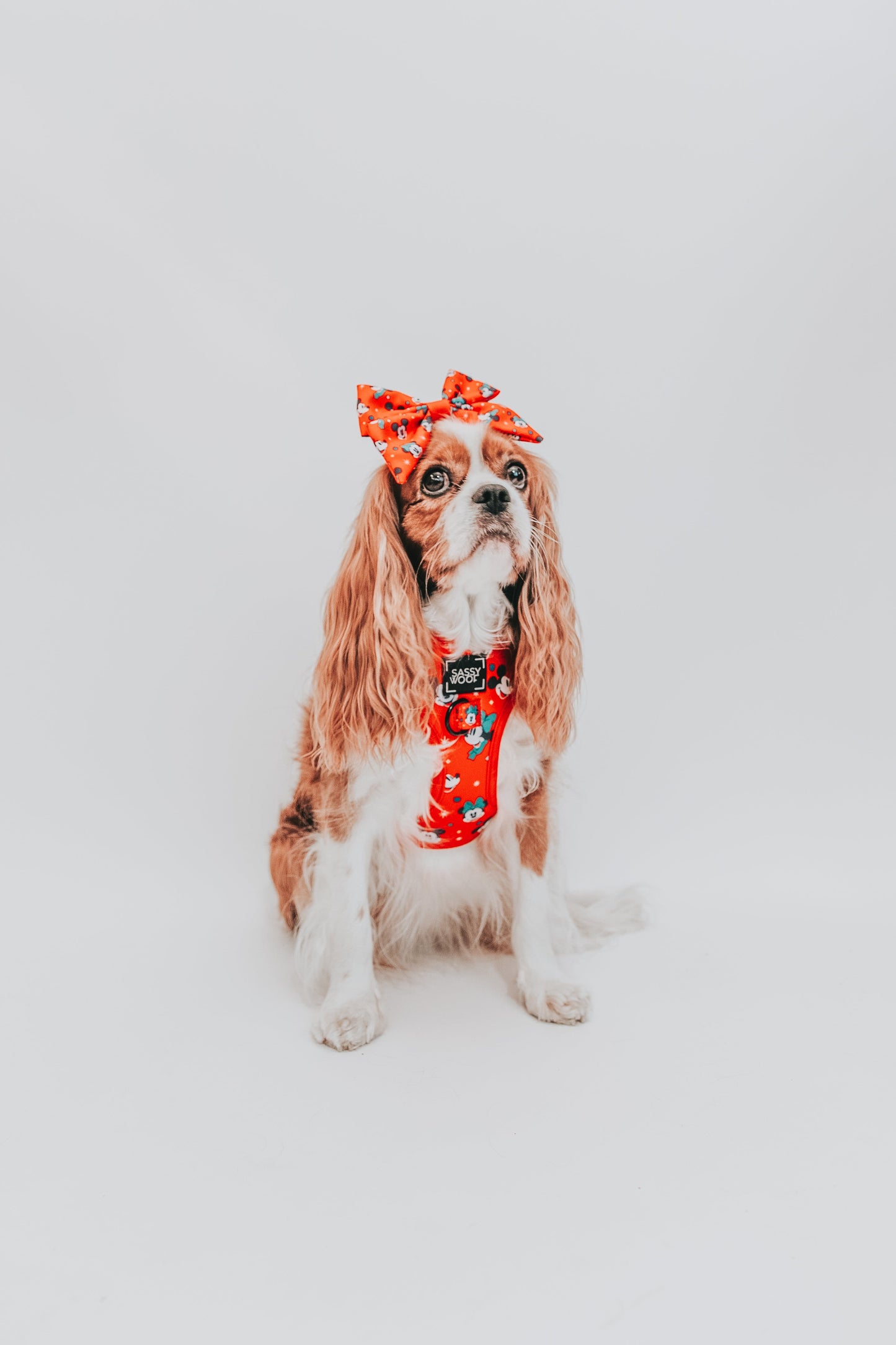 Dog Adjustable Harness - Disney Holiday Collection