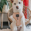 Dog Adjustable Harness - Pinot
