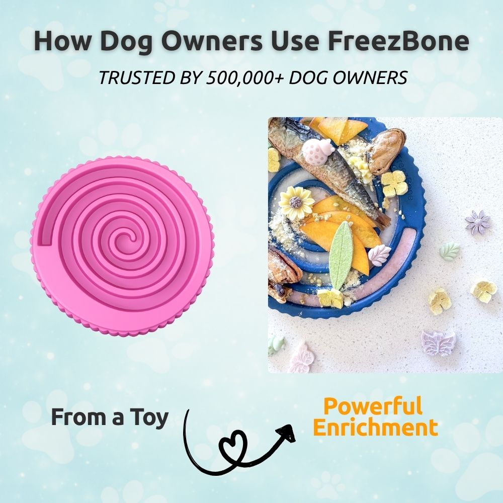Family Value Bundle - Best Value for Multi-Dog Homes