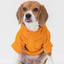 Tribeca adjustable velcro raincoat - Egg Yolk
