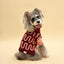 Rosé Bliss Sweater