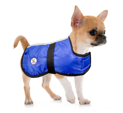 Lightweight Water Repellent Dog Coat Reversible Reflective by cuteNfuzzy