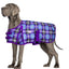 Derby Originals Ruff Pup Arctic Purple Plaid Dog Coat – 1200D Waterproof Ripstop, 150g Insulated Winter Jacket, Breathable 3-Layer Design, Adjustable Fit, 2-Year Warranty