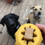 Gear eDispenser - Durable Rubber Yak Chew Holder & Treat Pocket | USA Made