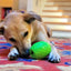 Dinosaur Egg Dog Chew Toy & Treat Dispenser - USA Made | SodaPup