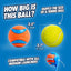 ChuckIt Dog Ultra Ball 1 Pack